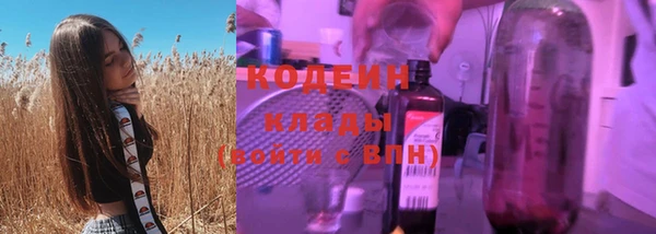 твердый Бородино