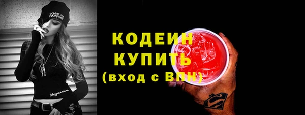 твердый Бородино