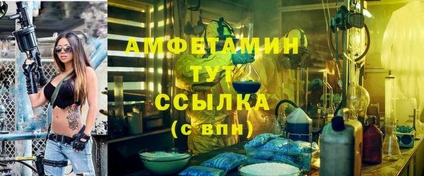 твердый Бородино