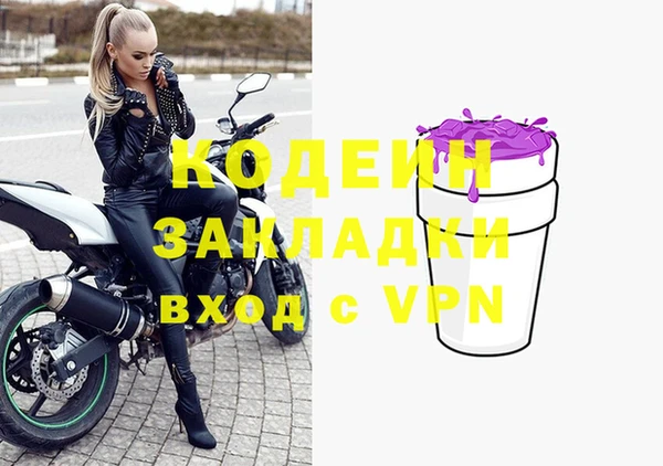 твердый Бородино