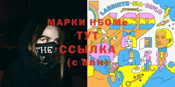 твердый Бородино