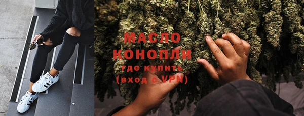 твердый Бородино