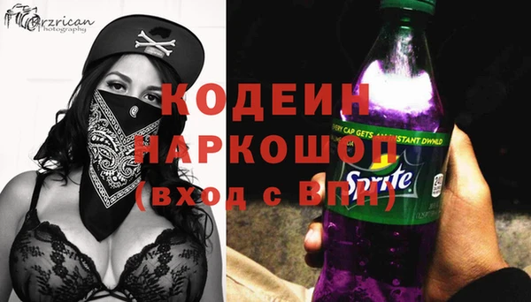 твердый Бородино