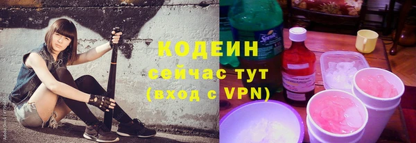 твердый Бородино