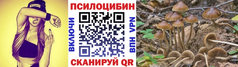 Галлюциногенные грибы Psilocybine cubensis  Купить где  Лысково 