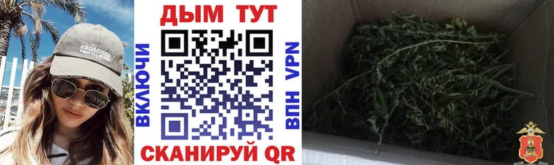 Канабис Bruce Banner  Купить где  Лысково 
